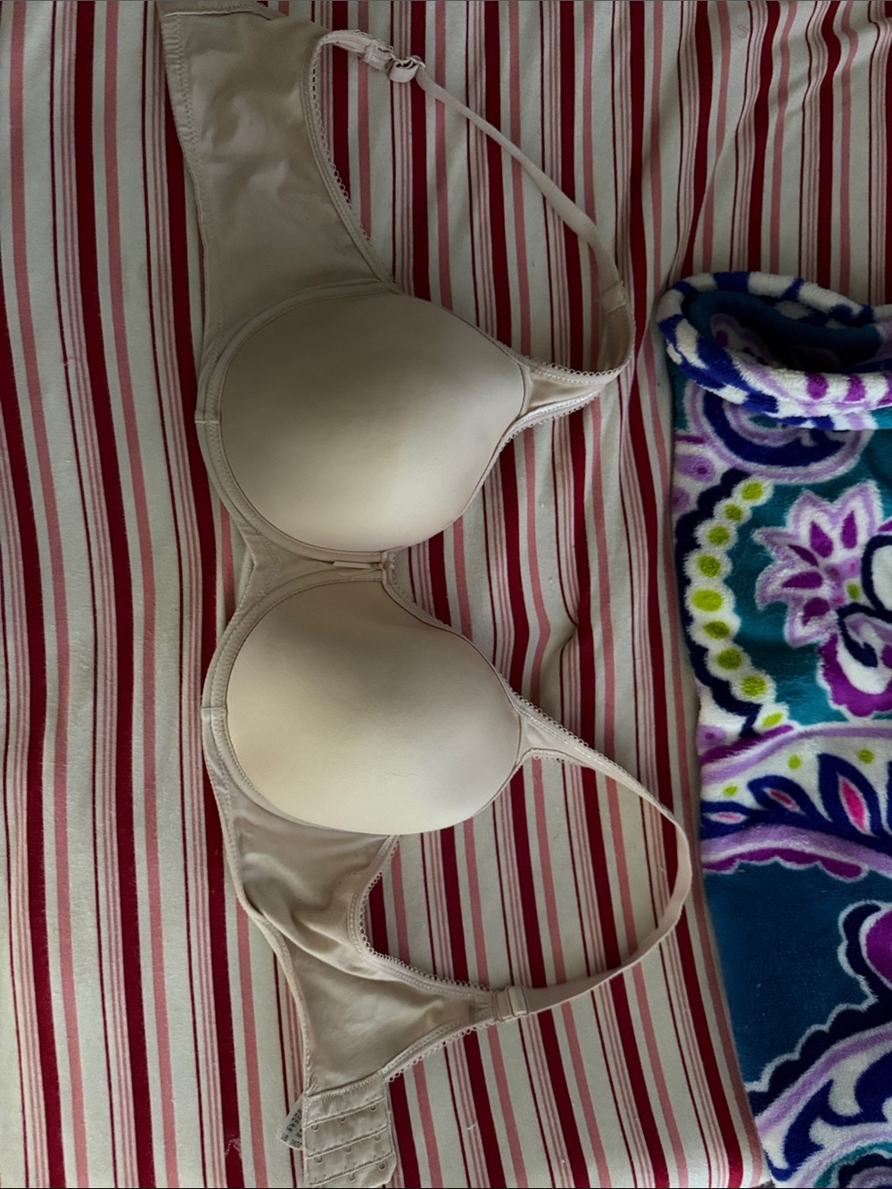 Wacoal Smooth T-Shirt Bra - Cream